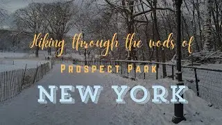 New York first snow hiking through the woods of prospect park