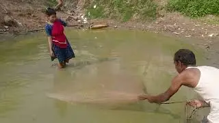 Best net fishing - Traditional net fishing in village river - Fishing by cast net