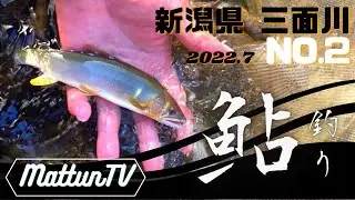 【鮎釣り】2022 新潟県三面川に鮎の友釣りに行ってみた！2日目