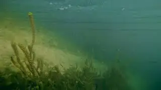 Lago d'Iseo - Drone subacqueo