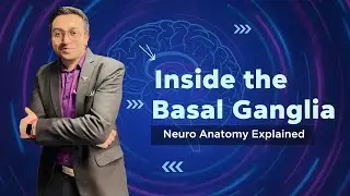 Basal Ganglia (Nuclei) | NeuroAnatomy Lecture | MBBS/BDS/NEETPG/FMGE/INI-CET/USMLE