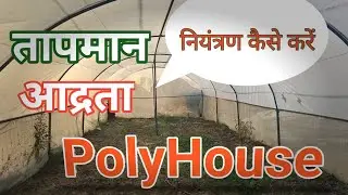 पोली हॉउस में तापमान नियंत्रण कैसे करें || how to control temperature in polyhouse|Polyhouse Farming