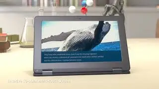 Review ASUS Chromebook Flip C213SA-YS02 11.6 inch Ruggedized & Spill Proof for 2019