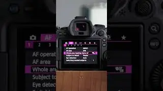 Easy Autofocus settings for your camera #autofocus #camerasetting #learnphotography