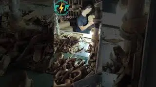 Moulding and Shaping of Porcelain Insulator