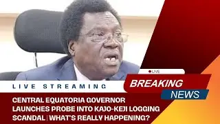 Central Equatoria Governor Launches Probe into Kajo-Keji Logging Scandal | What&rsquo;s Really Happening?