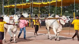 17వజత 2పళ్ళలో