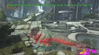 Oficial PvP :)