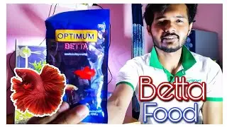 Optimum Betta Fish Food Review