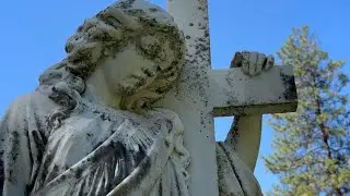 Walking Around Fairmount Memorial Park (Part4)