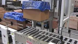 Fill-To-Weight Auger Filler Model BS/SV/600 | Powder