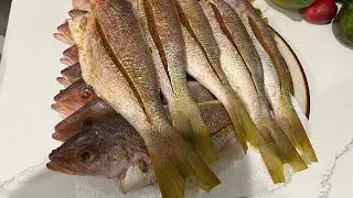 Clean it Right, Season it Perfect/ Clean and Season Fishlike a Pro