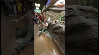 A Python crashes through glass during feeding, sending a zookeeper and crowd scrambling #Unbelievabl