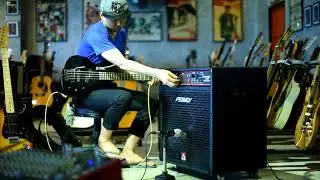 PEAVEY COMBO 115  Bass Amp