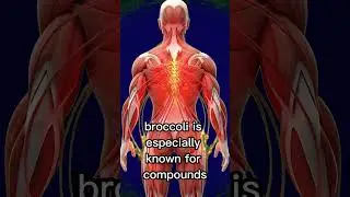 Power of Broccoli Inside the Human Body | 3D Medical Nutrition Visual #informativecontent