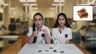 Deva Okulları - Çevre Dostu Biyoplastik