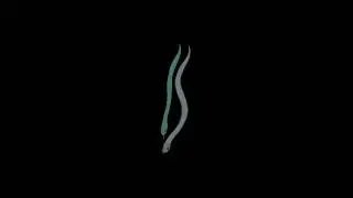 '푸른전구빛(BleuBulbLight(Live recording at Lamb)' - 모임 별(Byul.org) / 2003