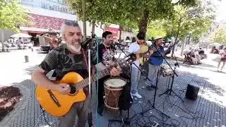 grupo kollan (paloma ausente) Violeta parra.