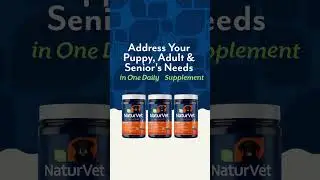 Introducing NaturVet Daily Care: all-in-one supplements for dogs during every phase of life