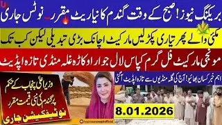 Today Wheat price in punjab//گندم کا ریٹ2026/munji makki till sarso/Galla mandi rate today 2026