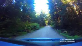 Gold Bluff Beach - Prairie Creek Redwoods State Park, Scenic drive - 4K