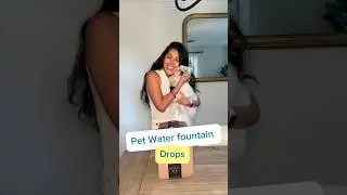 fresh water for your dog. water fountain#dog #water #doglover   