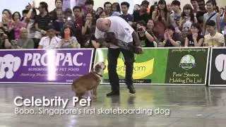Singapore Pet Expo 2014