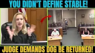Judge SHOCKS Courtroom:SAMSON MUST BE RETURNED!