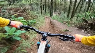 Air Stream into Wyllie XC | Wyllie Bike Park | April 2024