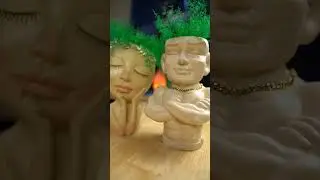 Amazing Mysterious Air Ferns with Adorable Face Planter Pots!