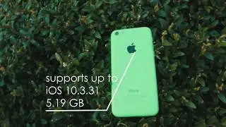 iPhone 5c fake review