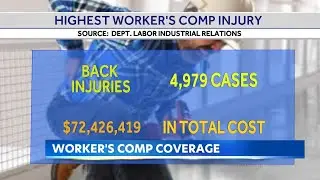 Hawaii worker's compensation laws for injuries total over $300 million