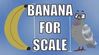 The 'Banana for scale' phenomenon