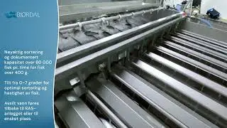 Smolt Grader Bj&oslash;rdal (Norwegian)