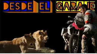 DESDE EL GARAJE de DvD 4X01 con SALVA ECHEVARRIA