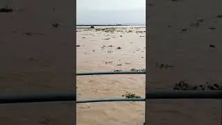 Head Marala.. Dariya Chenab mein flood warning | #headmaralasialkot #viral