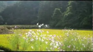 ipad videobook. bicycle tour 56days!!