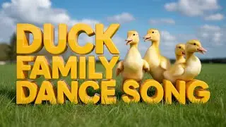 Ducks are Playing Song | English Kids Music with Quack Quack Fun Learning for Toddlers and Kids