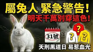 生肖兔，明天12月31號，農曆十一月十二是「天刑黑道日」，你千萬不要穿這顏色！否則會有危險和災禍！切記！#生肖兔 #屬兔運勢 #生肖兔運勢 #顏色禁忌 #五行穿搭 #風水改運 #屬兔 #穿衣顏色