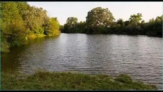 Retten wir die LobAu