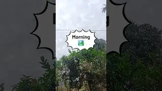 Today's Weather Report | Live Update🏞️#minivlog #chattisgarh #shortvideo