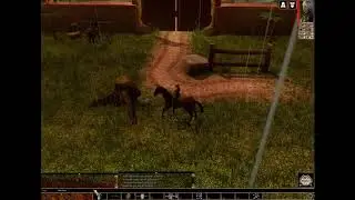 NWNEE Horses Got Moves