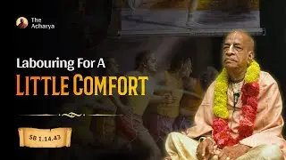 Labouring For A Little Comfort | SB 1.14.43 | New York | Srila Prabhupada