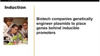 From industrial enzymes to cancer therapy   protein purification is essential!
