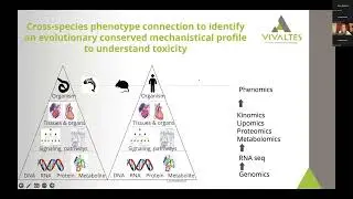 C. elegans as powerful new alternative method to assess developmental and reproductive toxicity in..