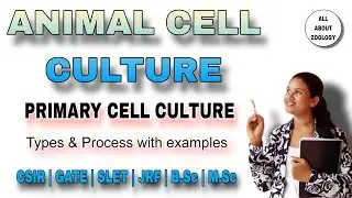 Animal Cell Culture M.Sc Classes | Guwahati University | Primary Cell Culture function with Examples