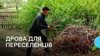 На Черкащині переселенцям дозволили самостійно заготовляти дрова