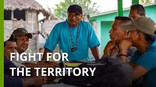 In Panama, an Indigenous kingdom fights for its right to the forest