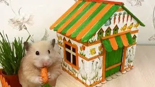 How to Make Village House for Hamster - Popsicle Sticks & Cardboard & Decoupage