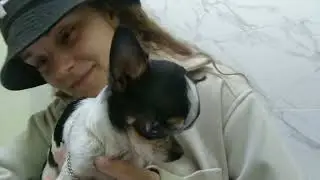 Чому собака впала на задні лапи😱